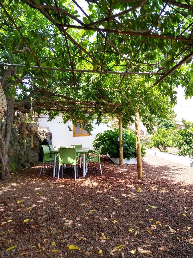 Los Huertos Conect With The Nature & Relax Icod De Los Vinos Eksteriør billede