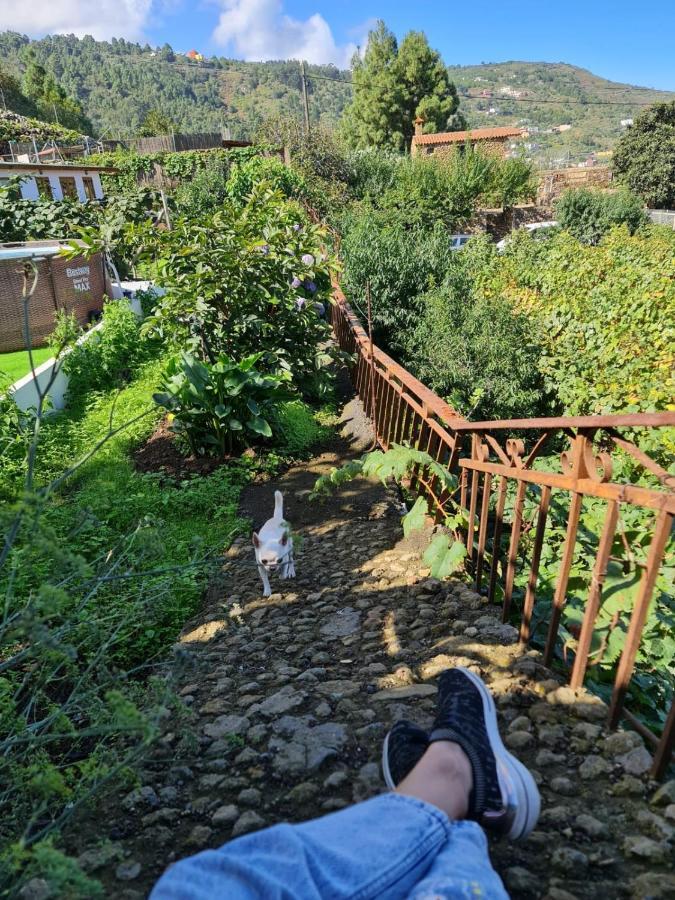 Los Huertos Conect With The Nature & Relax Icod De Los Vinos Eksteriør billede